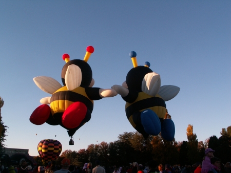 The bumble bee balloons at the 2006 Canberra Balloon Fiesta