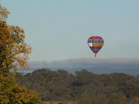 The Doma Hotels balloon flies over Yarralumla at the 2006 Canberra Balloon Fiesta