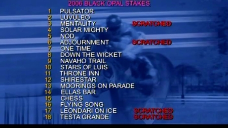 Horses in the 2006 Black Opal