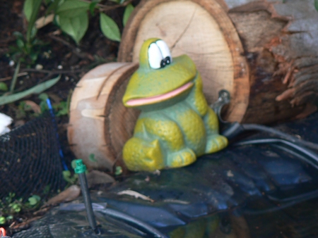 Pond and garden ornaments