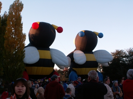 The Bumble Bee Balloons at the 2006 Canberra Balloon Fiesta