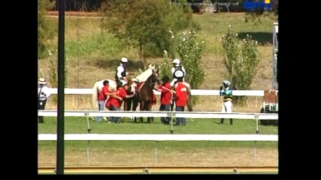 Barrier Attendants attend to a horse at the 2006 Black Opal