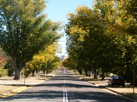 Canberra in Autumn #11