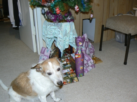 Christmas Presents 2006