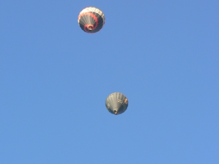 Delfast and Kamberra Wine Company hot air balloons, Canberra, January 28 2007