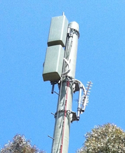 Reception and Transmission antennas at the Banks transmitter site