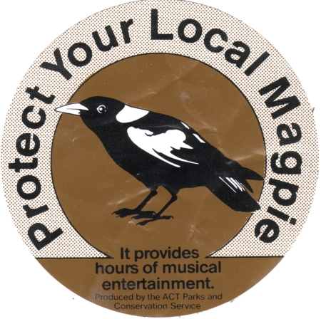Protect your local magpie