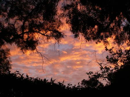 Canberra Sunrise