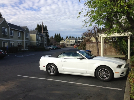 My Mustang parked at the Quality Inn, Petaluma