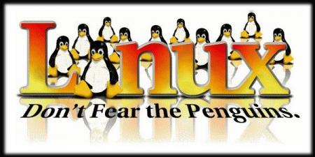 Don\'t Fear The Penguins