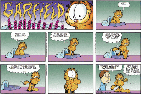 Garfield\'s 27th Birthday