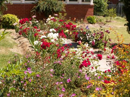 A nice garden in Reid